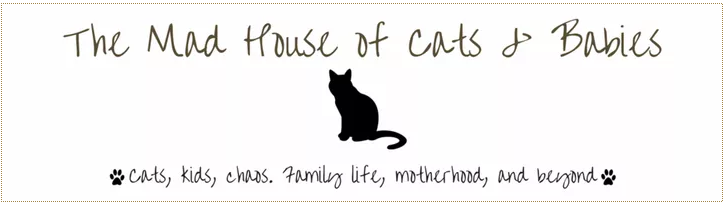 The Mad House of Cats and Dogs - October 2019