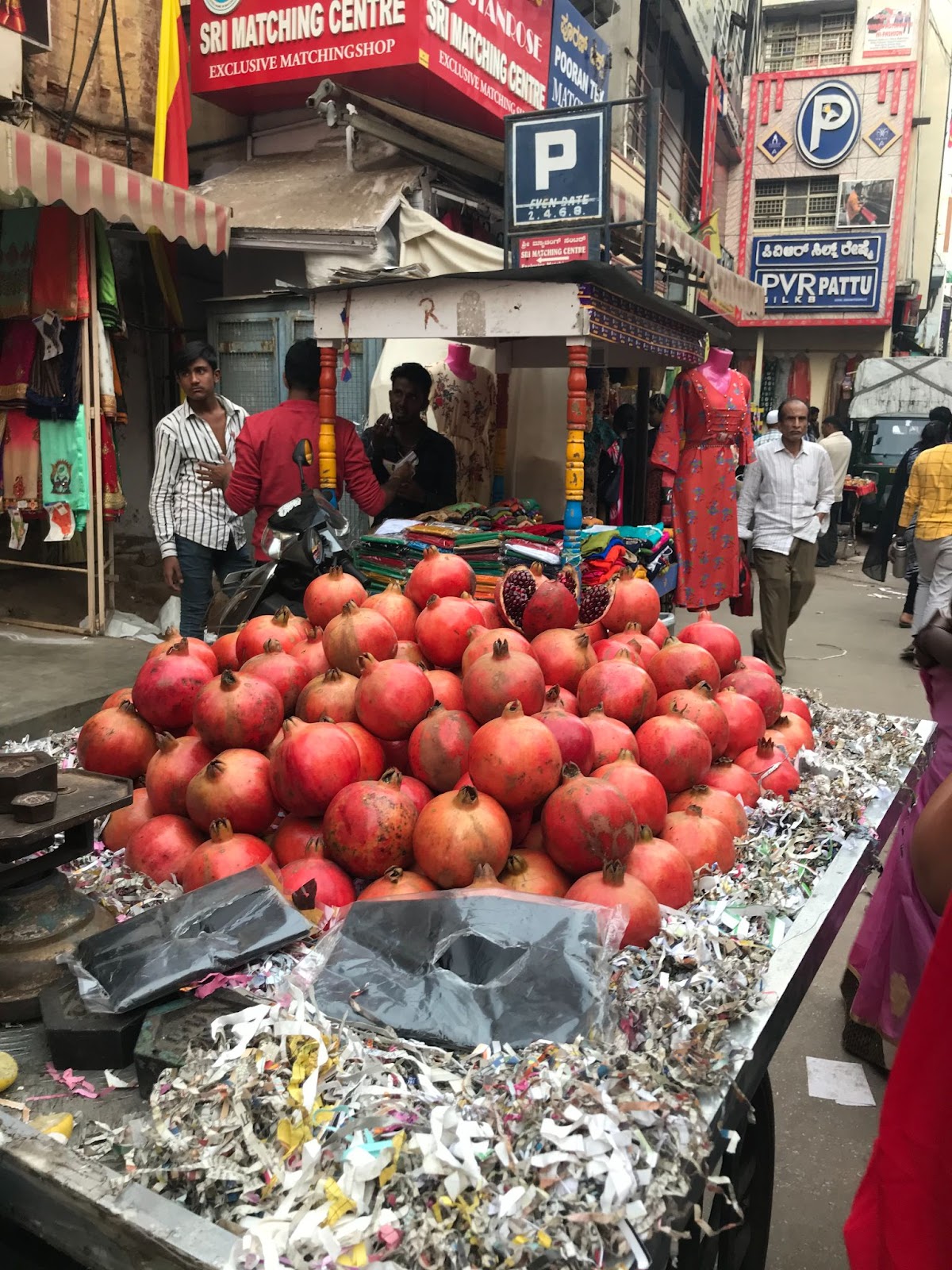 Textile Exploration to India with Lesley Pearce - January 2025