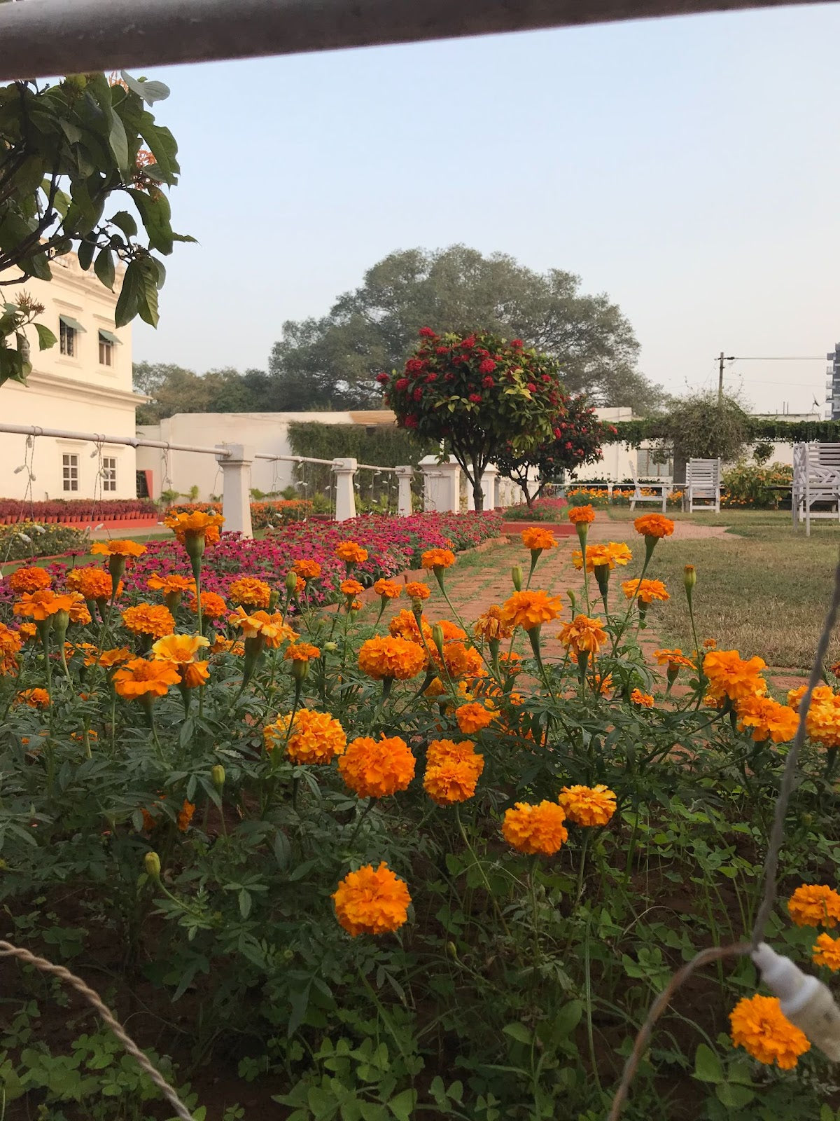 Textile Exploration to India with Lesley Pearce - January 2025