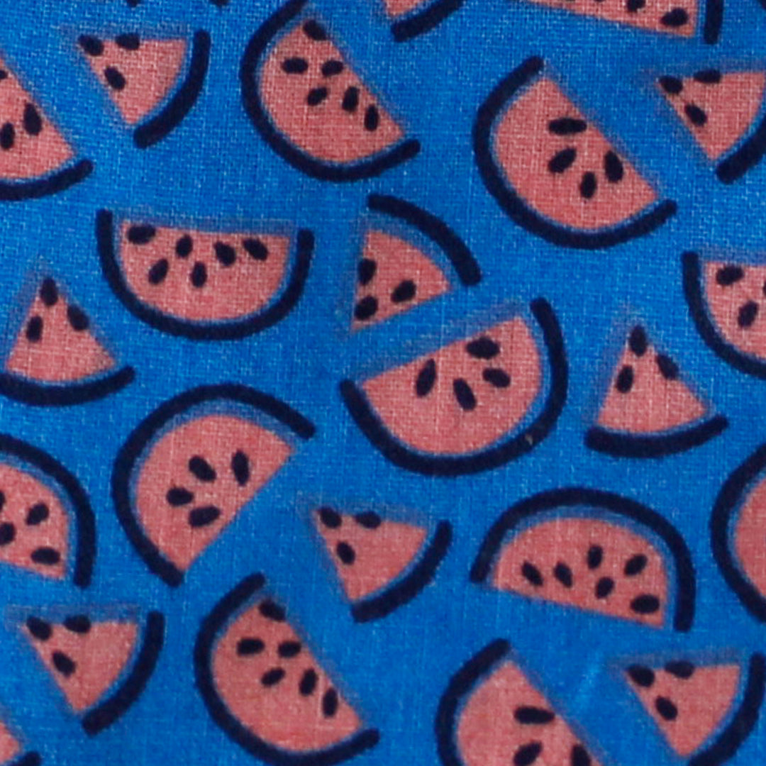 Watermelon Dog Bandanna & matching Treat Bag 4 Sizes - Dog Clothing Cute